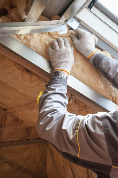 Best Commercial Insulation in Luxora, AR