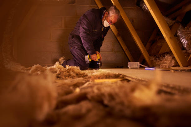 Best Insulation Maintenance and Repair in Luxora, AR